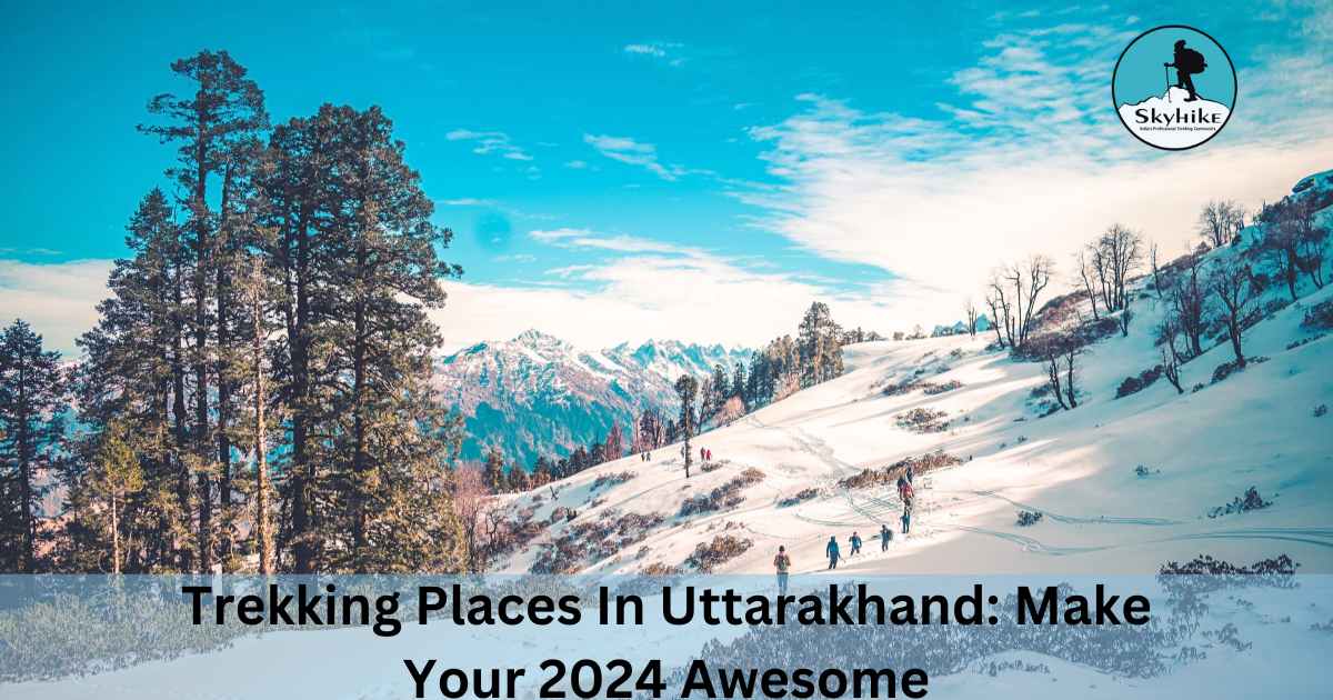 Trekking Places In Uttarakhand: Make Your 2024 Awesome