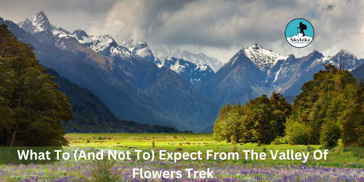 What To (And Not To) Expect From The Valley Of Flowers Trek
