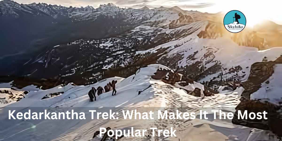 Kedarkantha Trek What Makes It The Most Popular Trek