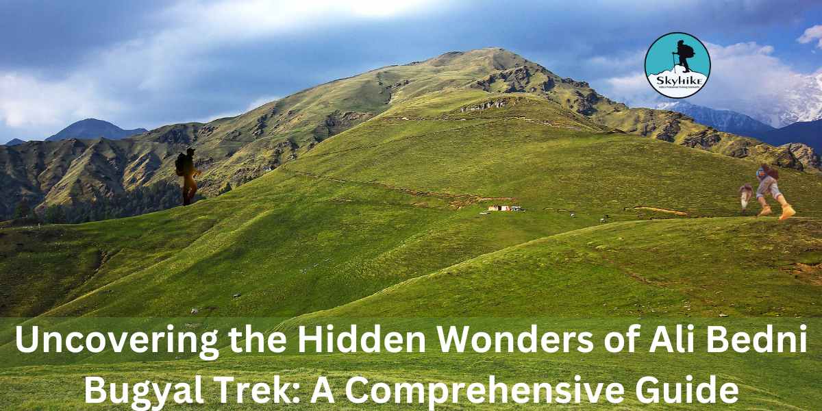 Uncovering the Hidden Wonders Of Ali Bedni Bugyal Trek: A Comprehensive Guide