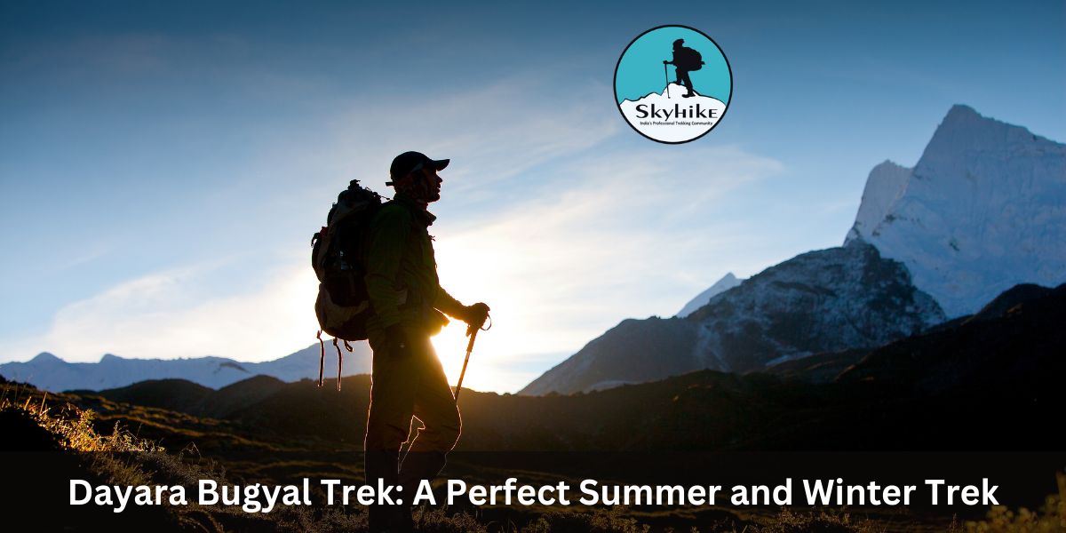 Dayara Bugyal Trek: A Perfect Summer and Winter Trek