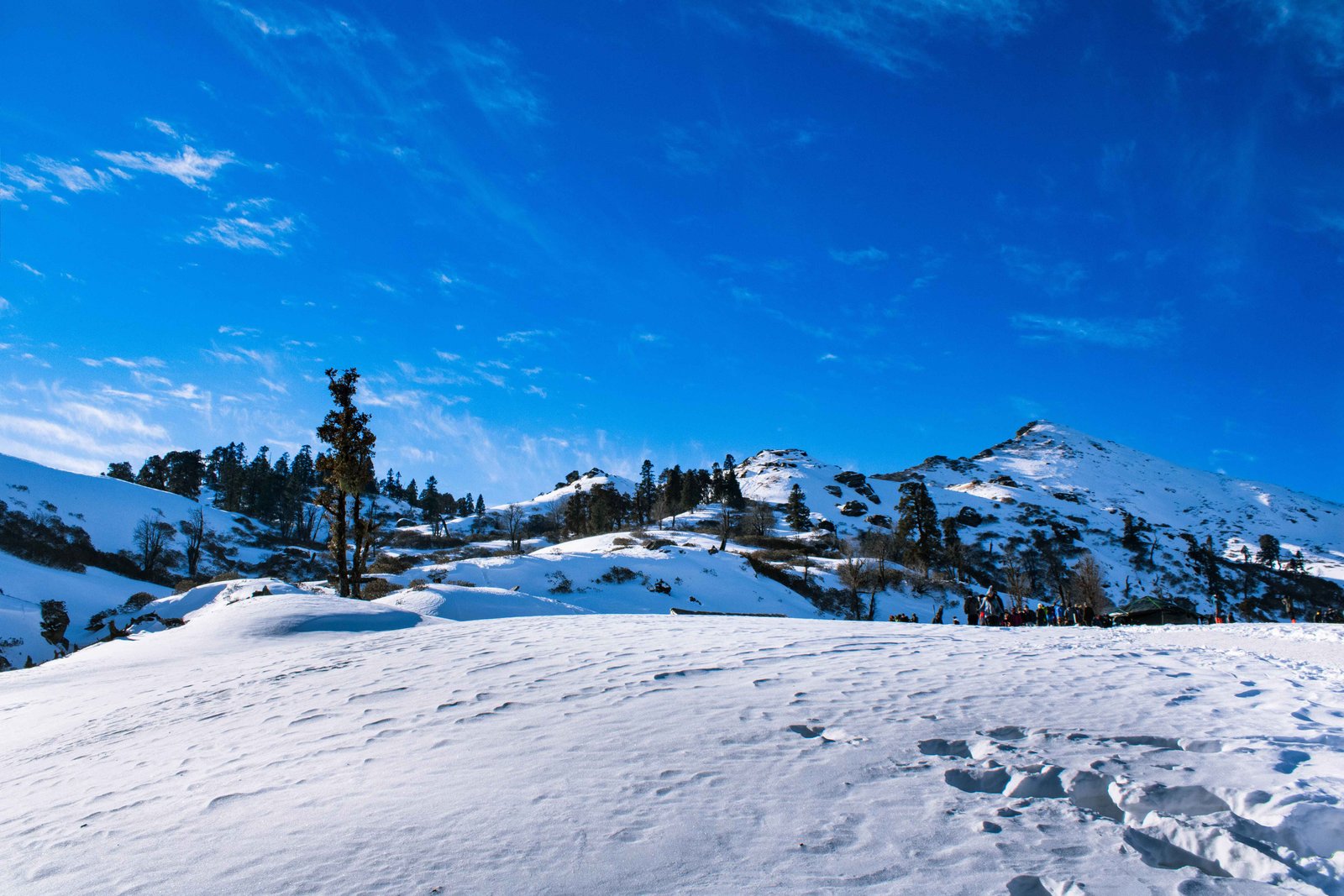 Chopta-Tungnath-Chandrashila Trek: Best Adventure Awaits