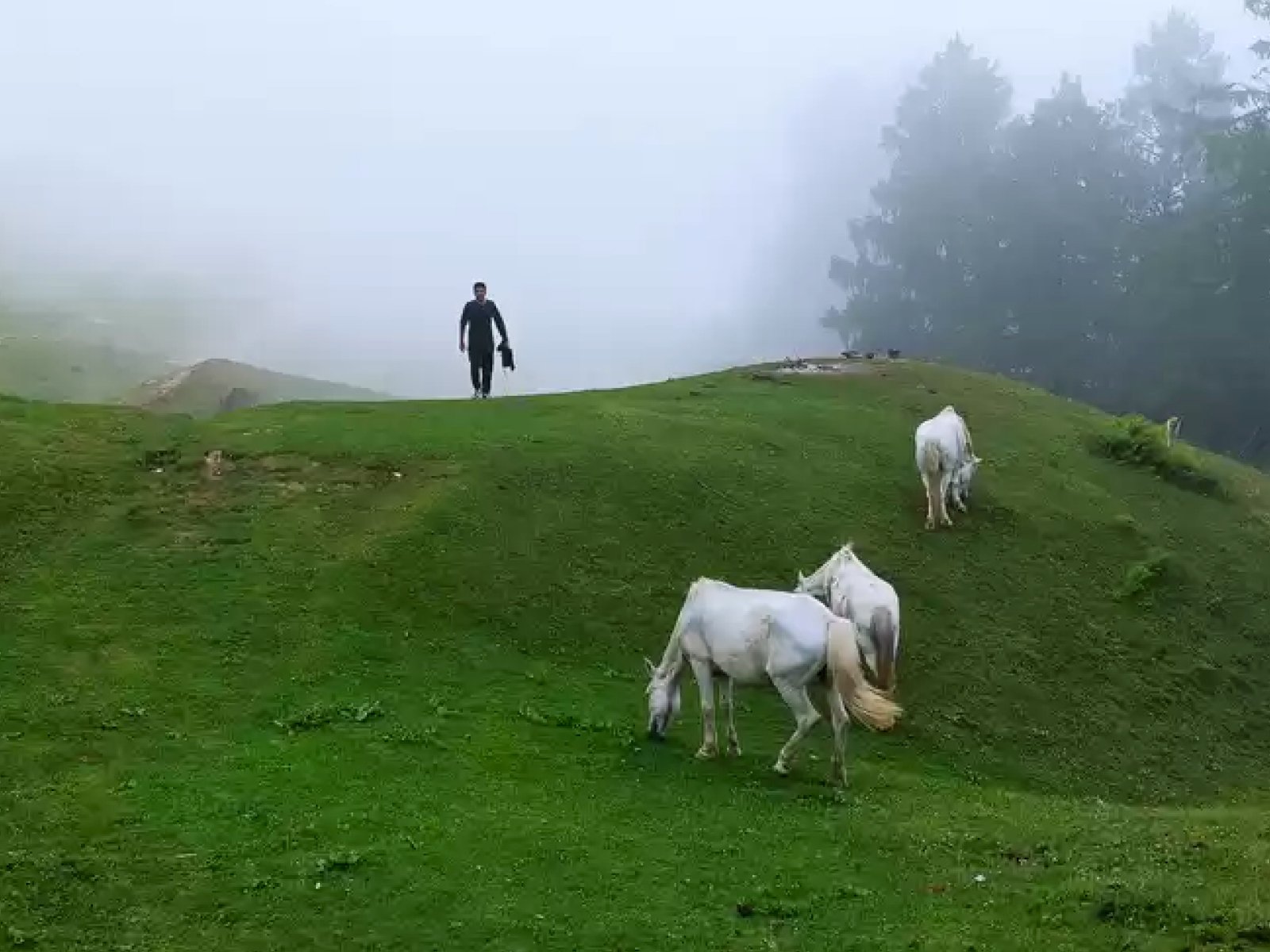 moila top chakrata