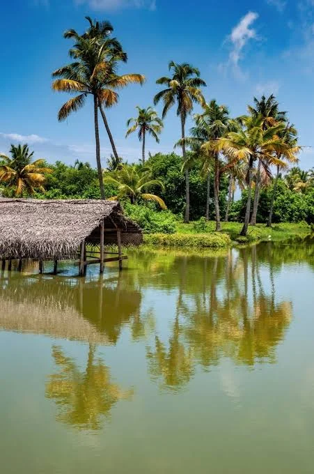 Cochin, Munnar, Thekkady, Alleppey, Kovalam & Kanyakumari Tour Package  8 Days / 7 Nights
