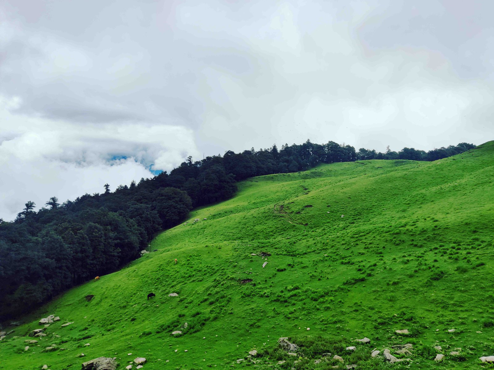 4 Best Short Treks In Uttarakhand For Weekend Getaway