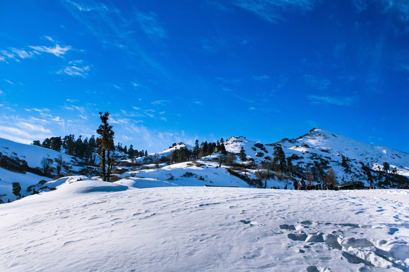 Chopta-Tungnath-Chandrashila Trek: Best Adventure Awaits