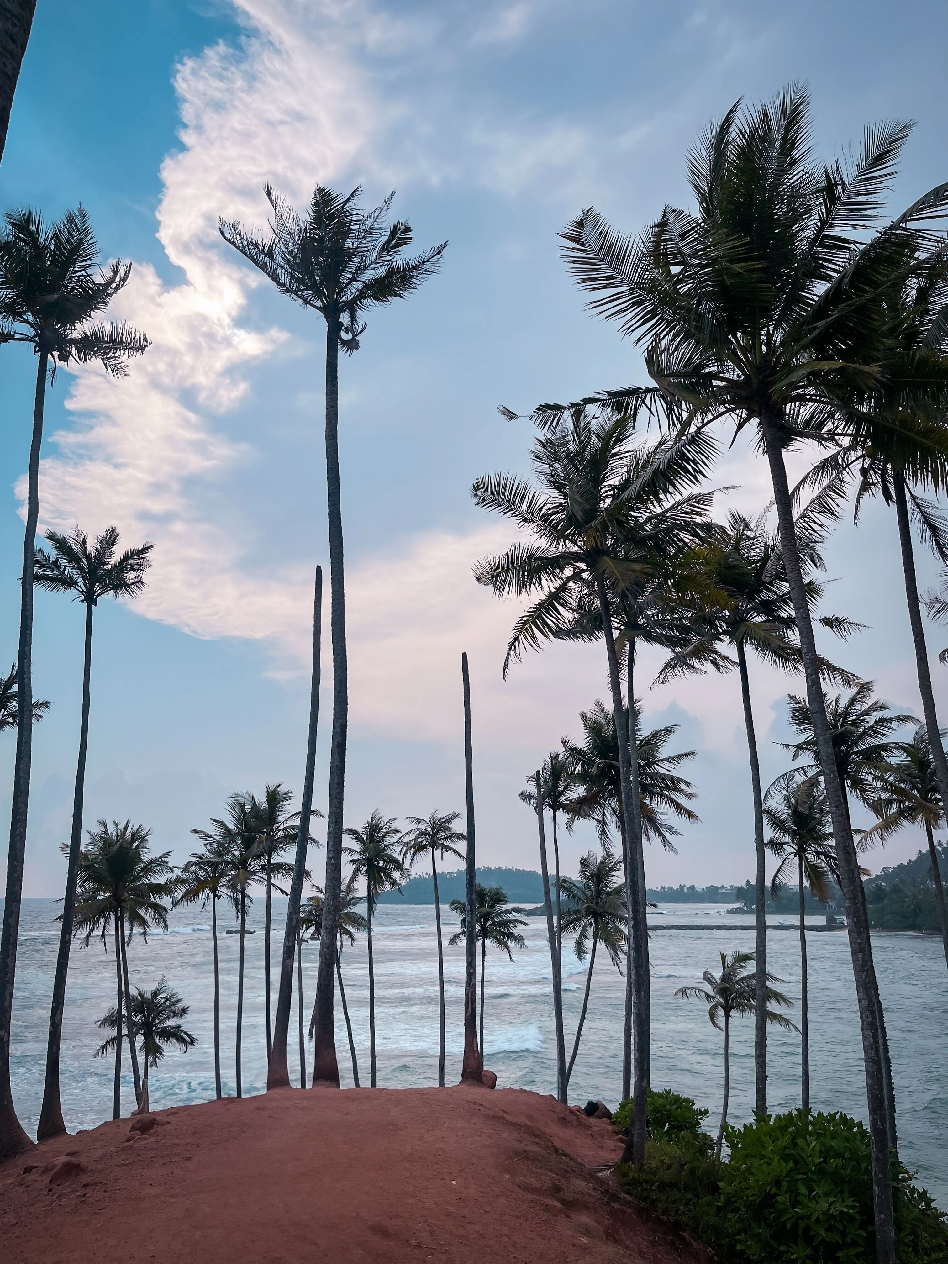 Sri Lanka Kandy Nuwara Eliya Bentota Colombo Holiday Package 6 Nights 7 Days