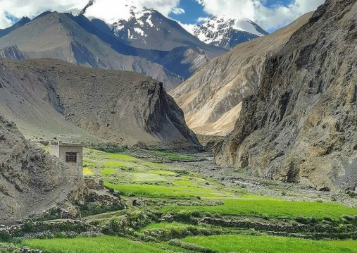 Markha Valley Trek