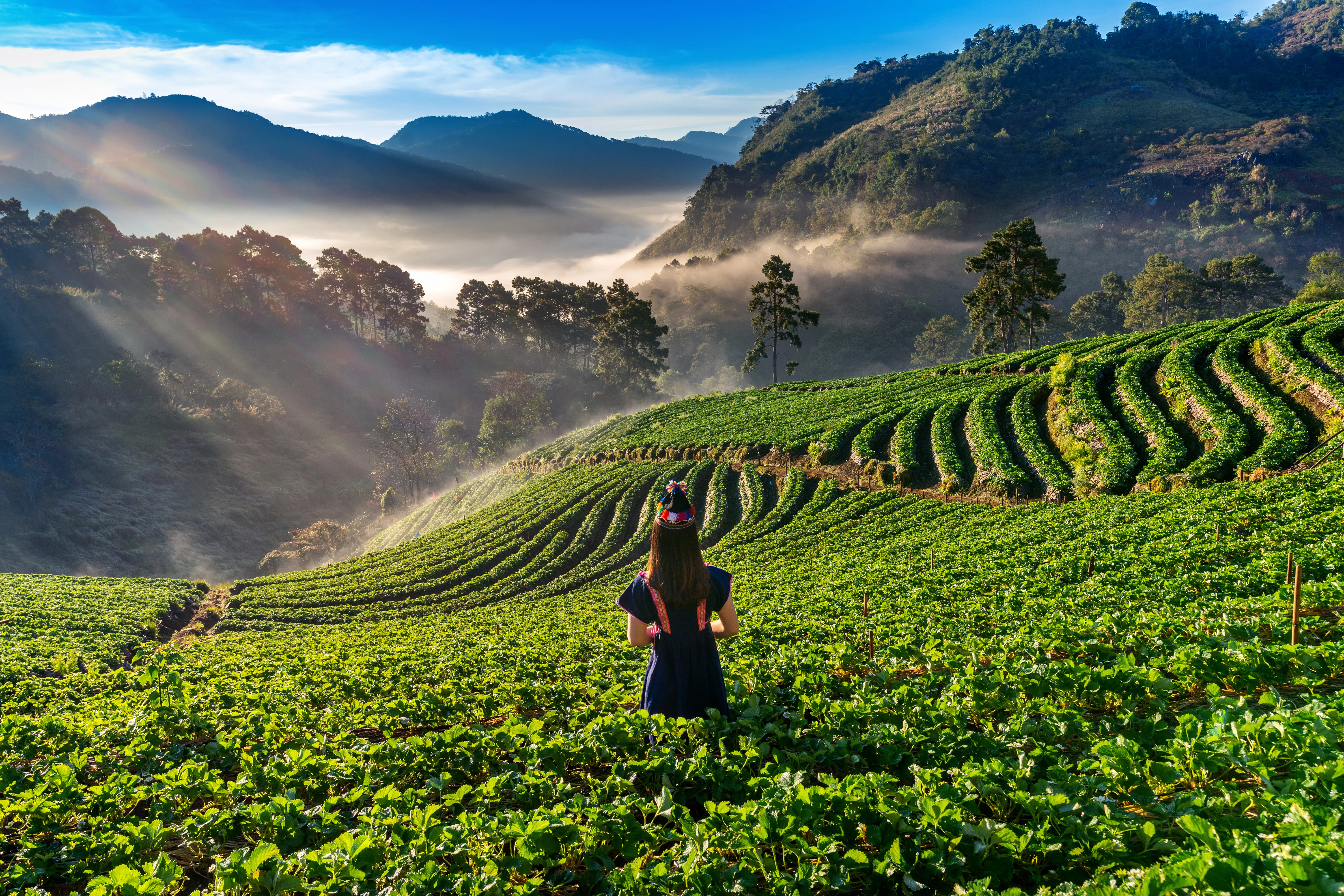 Arunachal Tour Package 10 Nights 11 Days Mechuka Anini