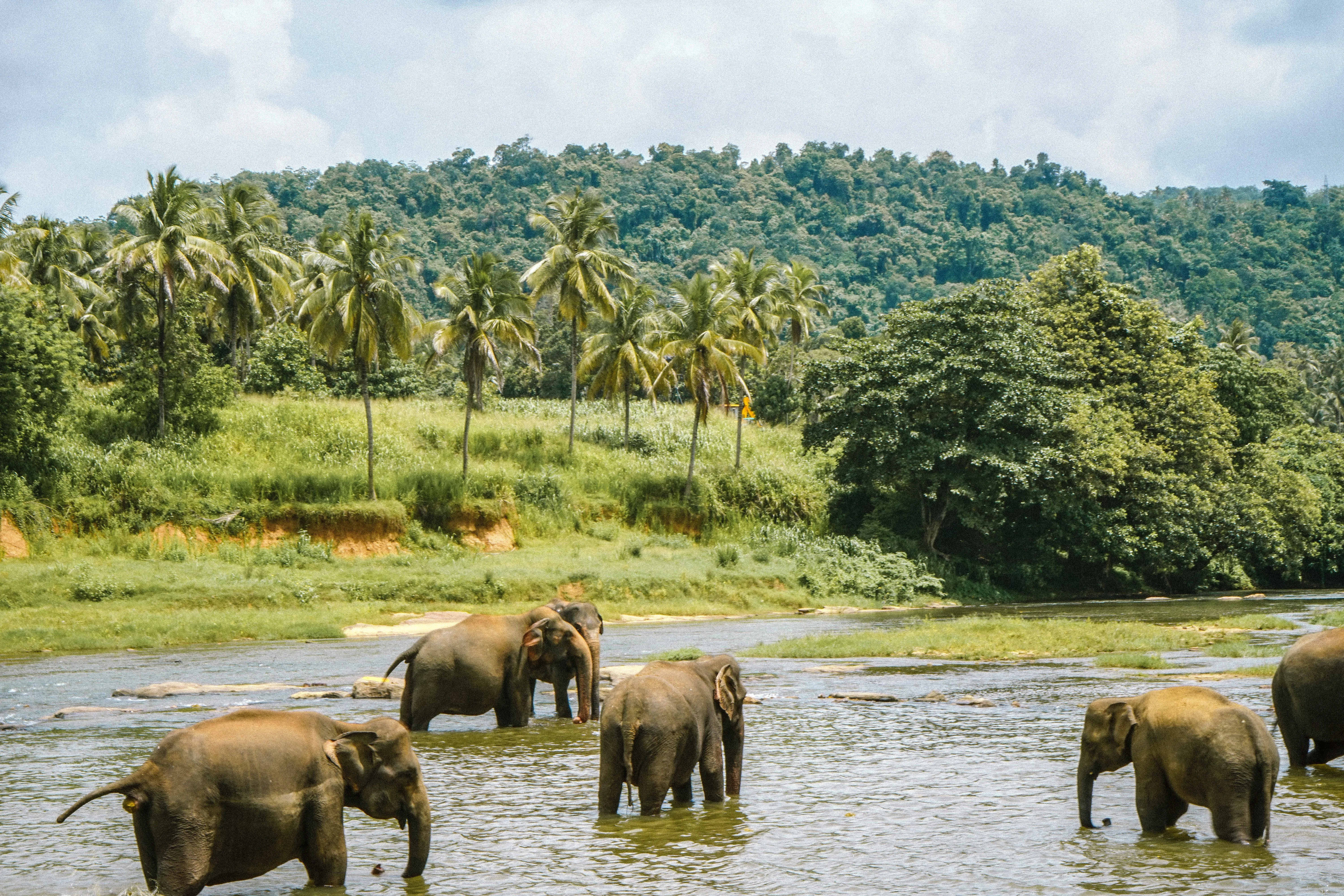 Sri Lanka Holiday Package 6 Nights 7 Days
