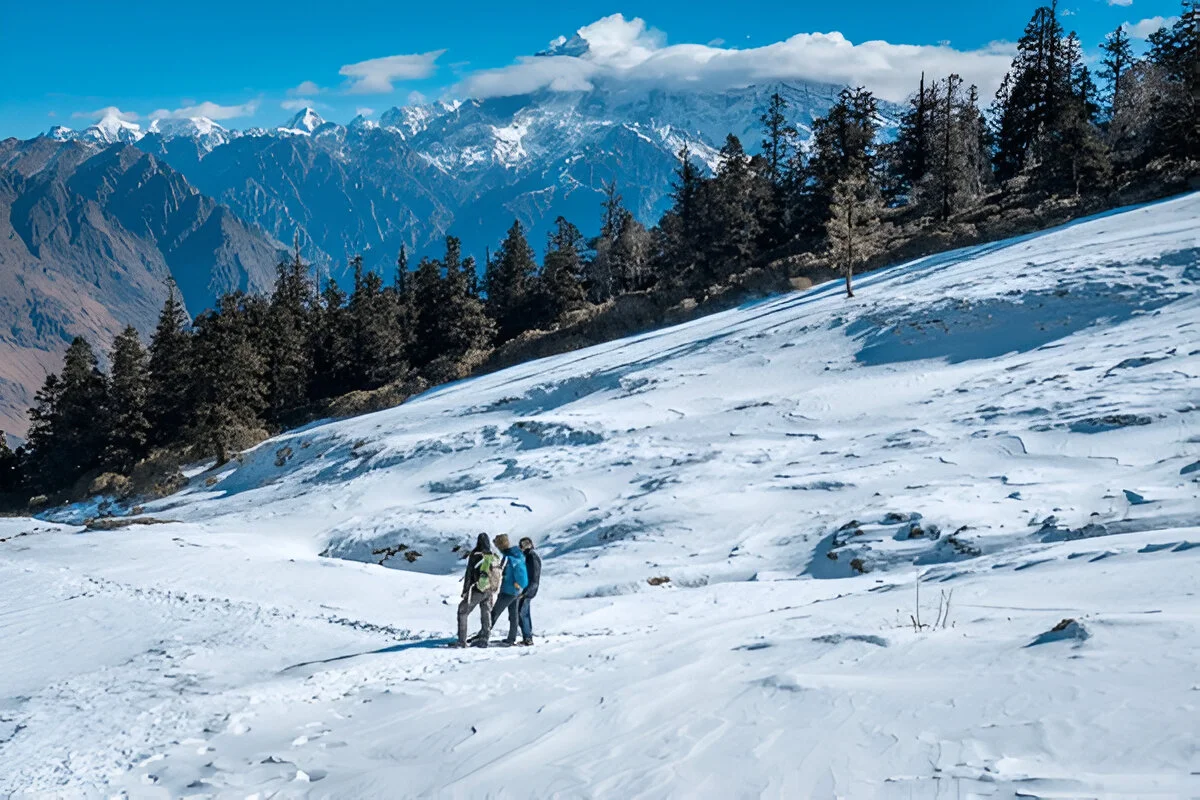 Snow Peaks and Alpine Adventures