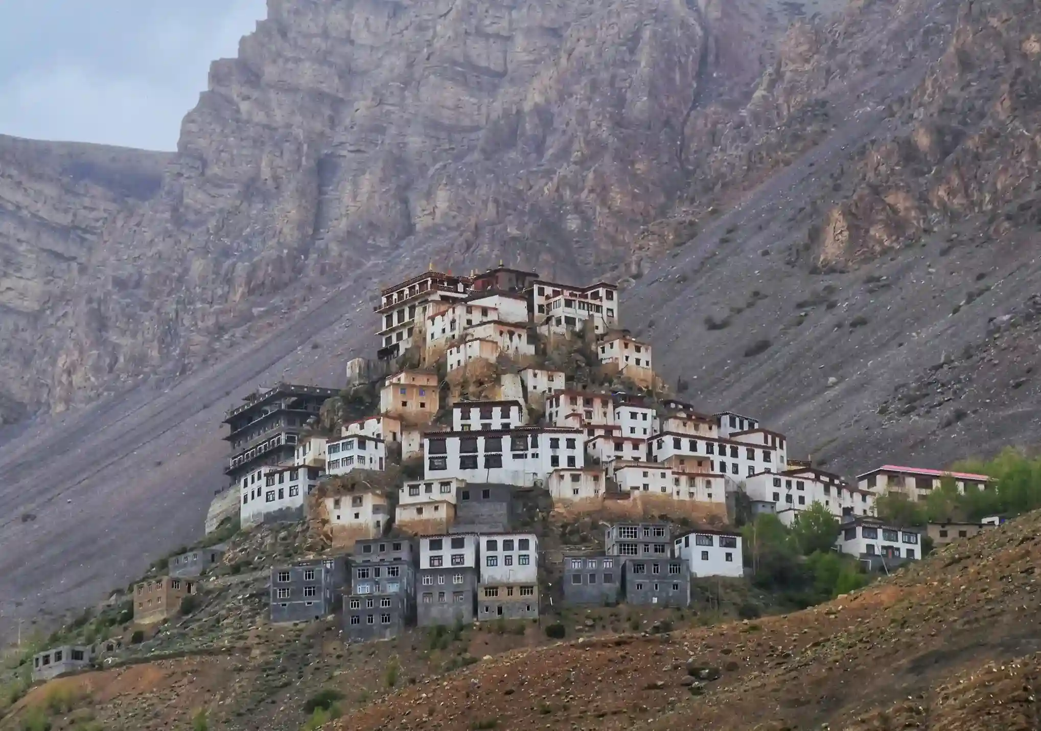 Raw Spiti