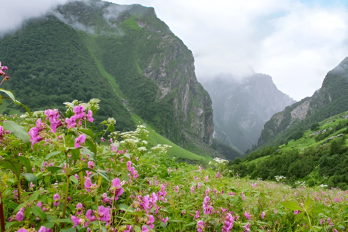 Valley of Flowers: Trekker's Dream