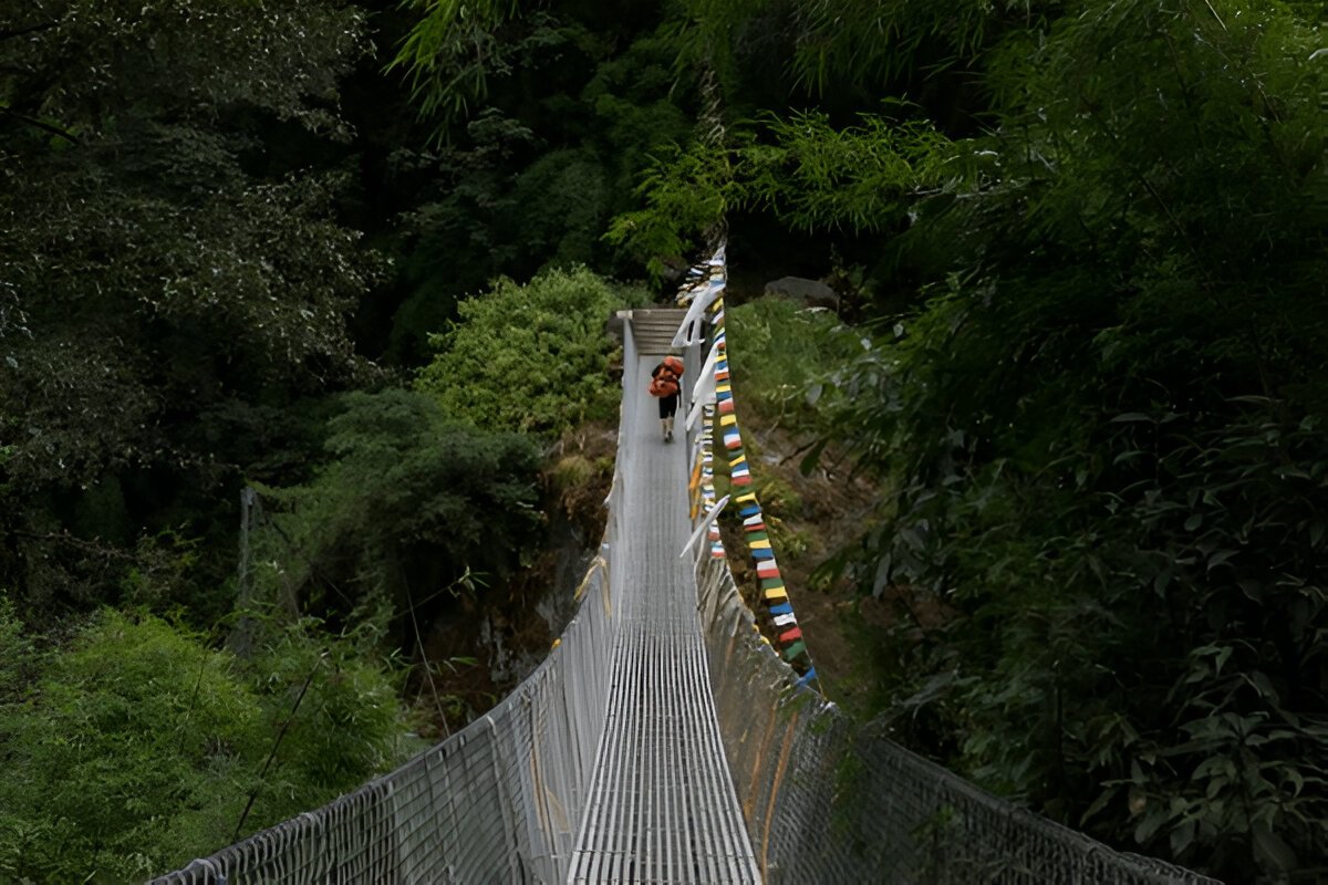 Climb the Summer Stairs